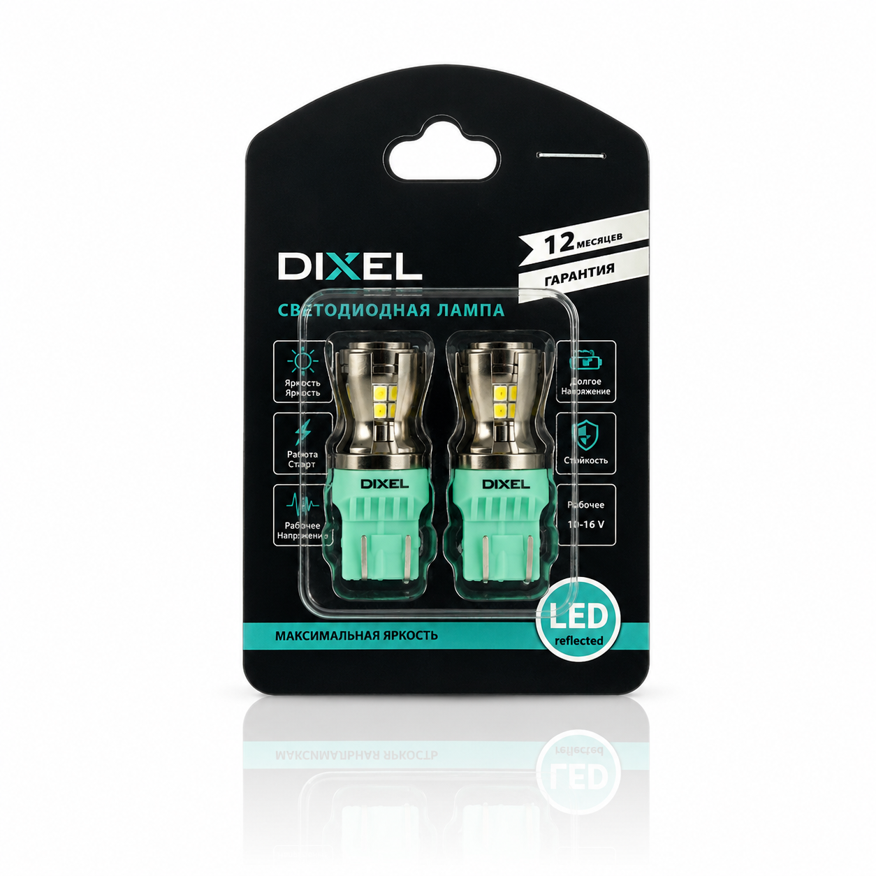 DIXEL3024 (3)
