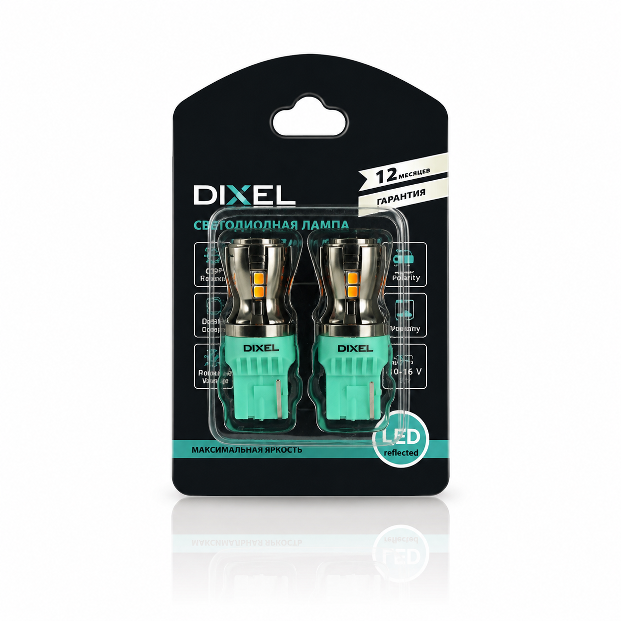 DIXEL3022 (3)